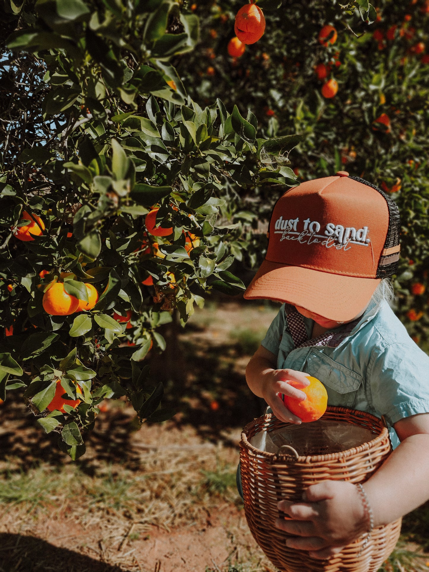 DTS Back to Dust Hats - Burnt Orange